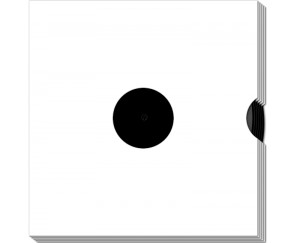 vinyl 12-inch single short run (black) {no label} [in sleeves]